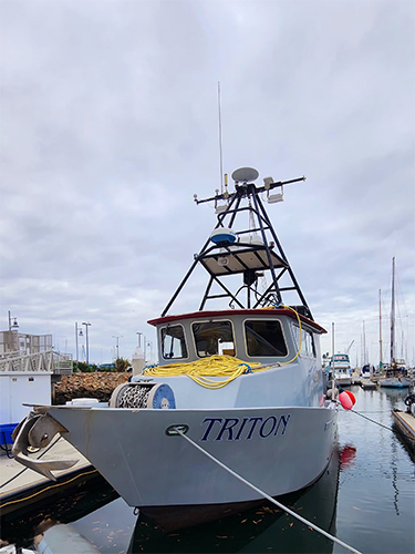 Triton Triton
