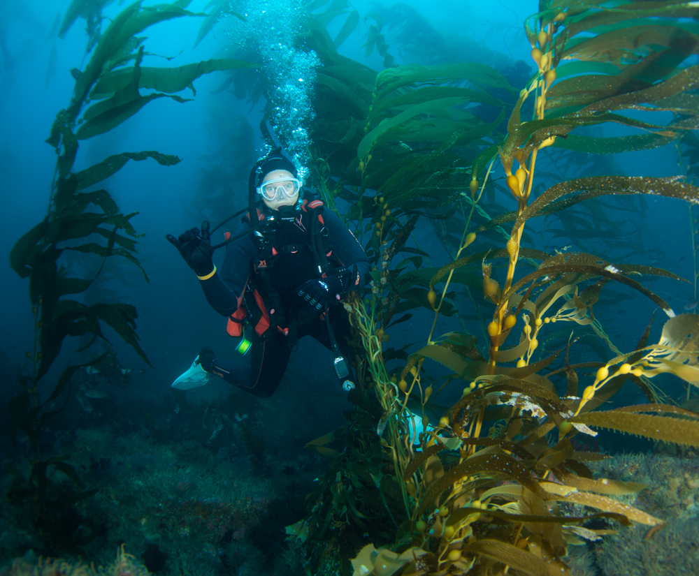 Diver Name