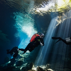 Cenotes & Barrier Reef - Yucatan, Mexico Family Diving Vacation 2025