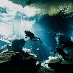 Cenotes & Barrier Reef - Yucatan, Mexico Family Diving Vacation 2025