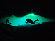 OSDT-Yucatán Peninsula Mexico diving and Eco trip (June 19 ~ 24, 2013)